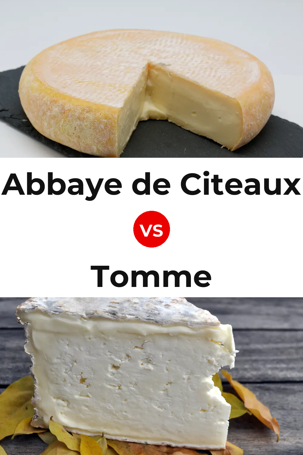 Abbaye de Citeaux Cheese vs Tomme Cheese Pinterest comparison