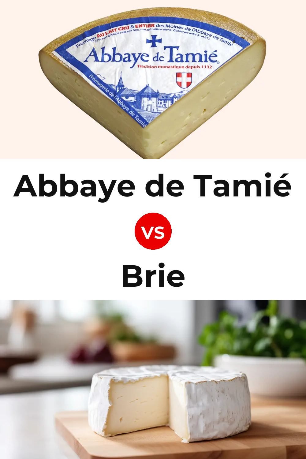 Abbaye de Tamié Cheese vs Brie Cheese Pinterest comparison