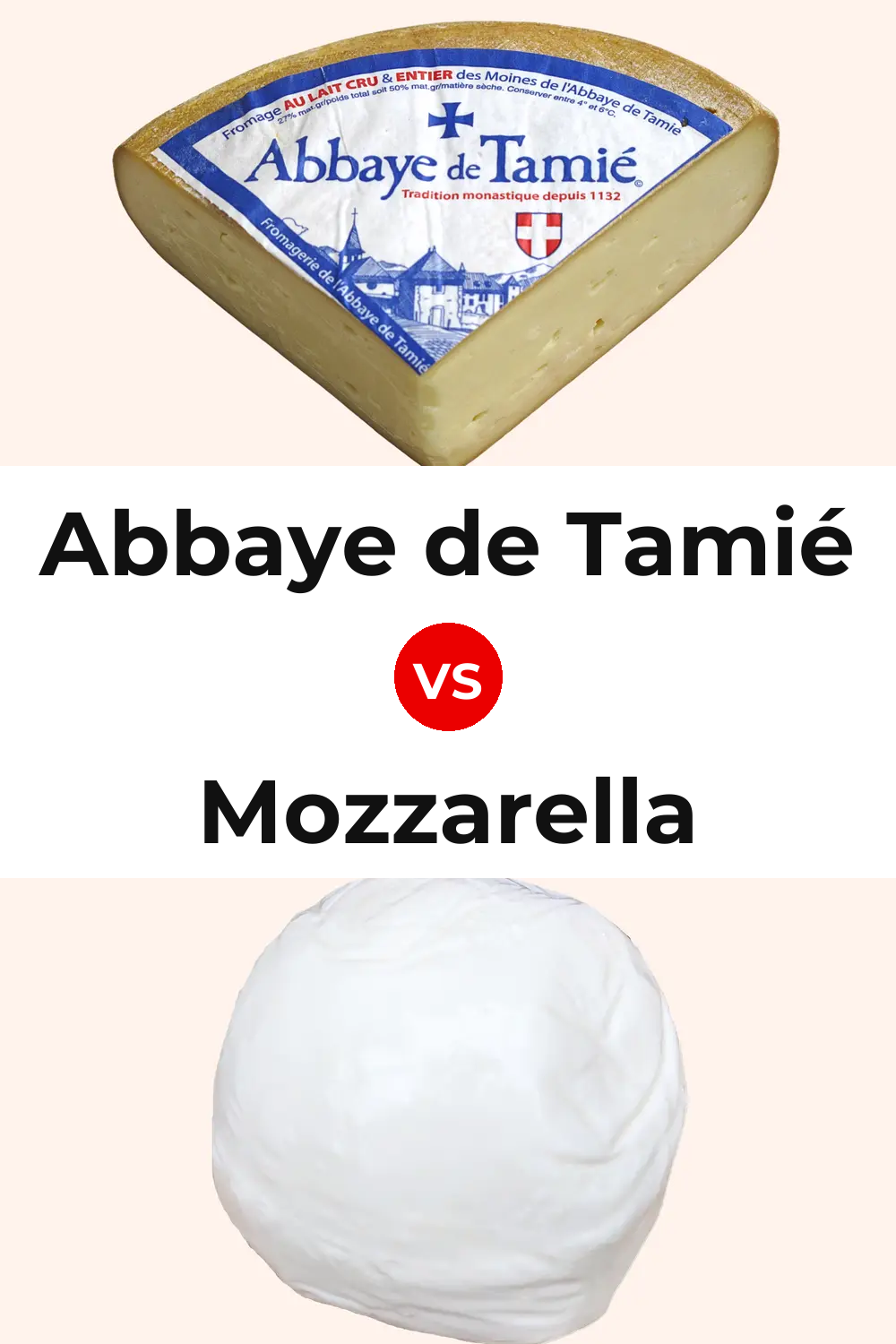 Abbaye de Tamié Cheese vs Mozzarella Cheese Pinterest comparison