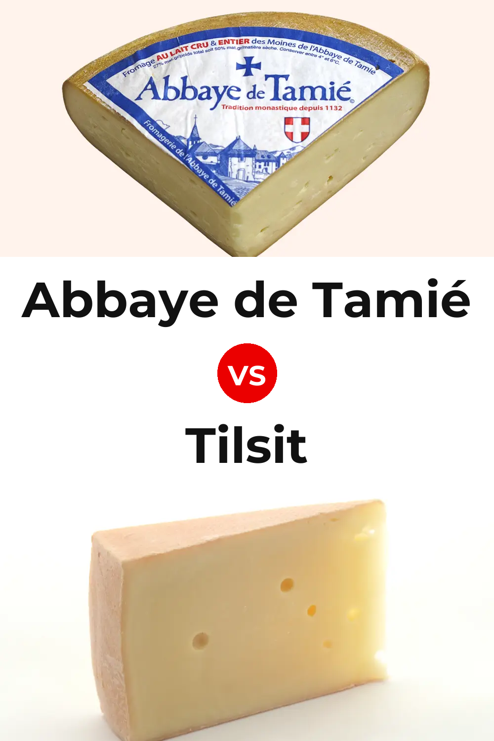 Abbaye de Tamié Cheese vs Tilsit Cheese Pinterest comparison