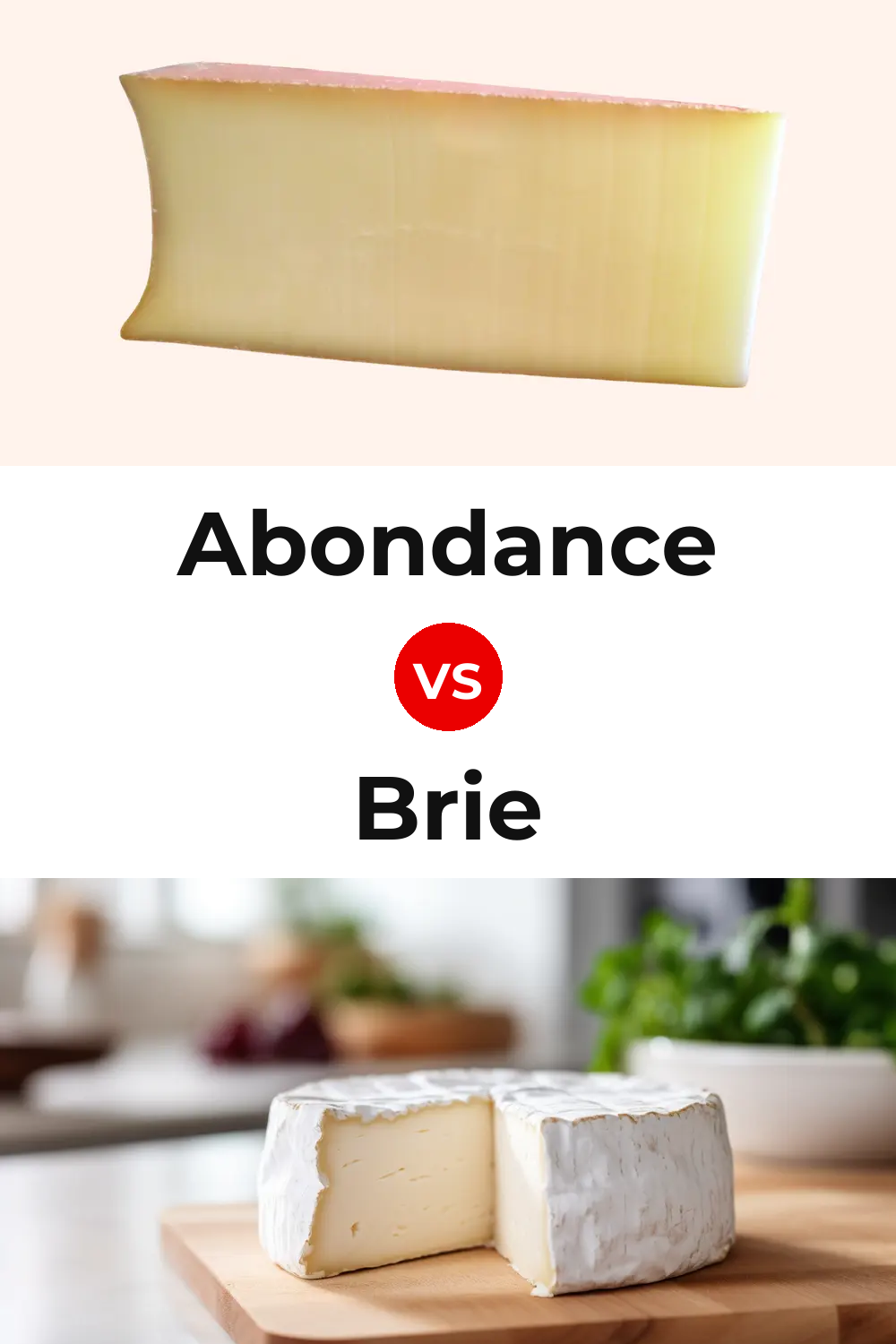 Abondance Cheese vs Brie Cheese Pinterest comparison