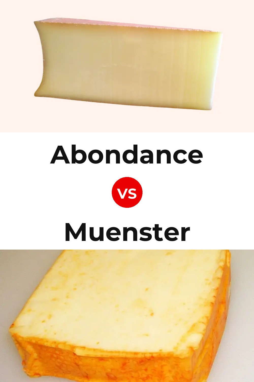 Abondance Cheese vs Muenster Cheese Pinterest comparison
