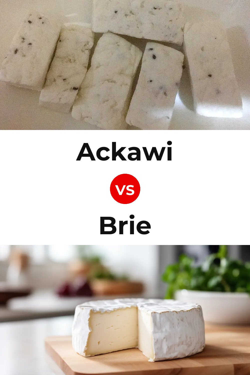 Ackawi Cheese vs Brie Cheese Pinterest comparison
