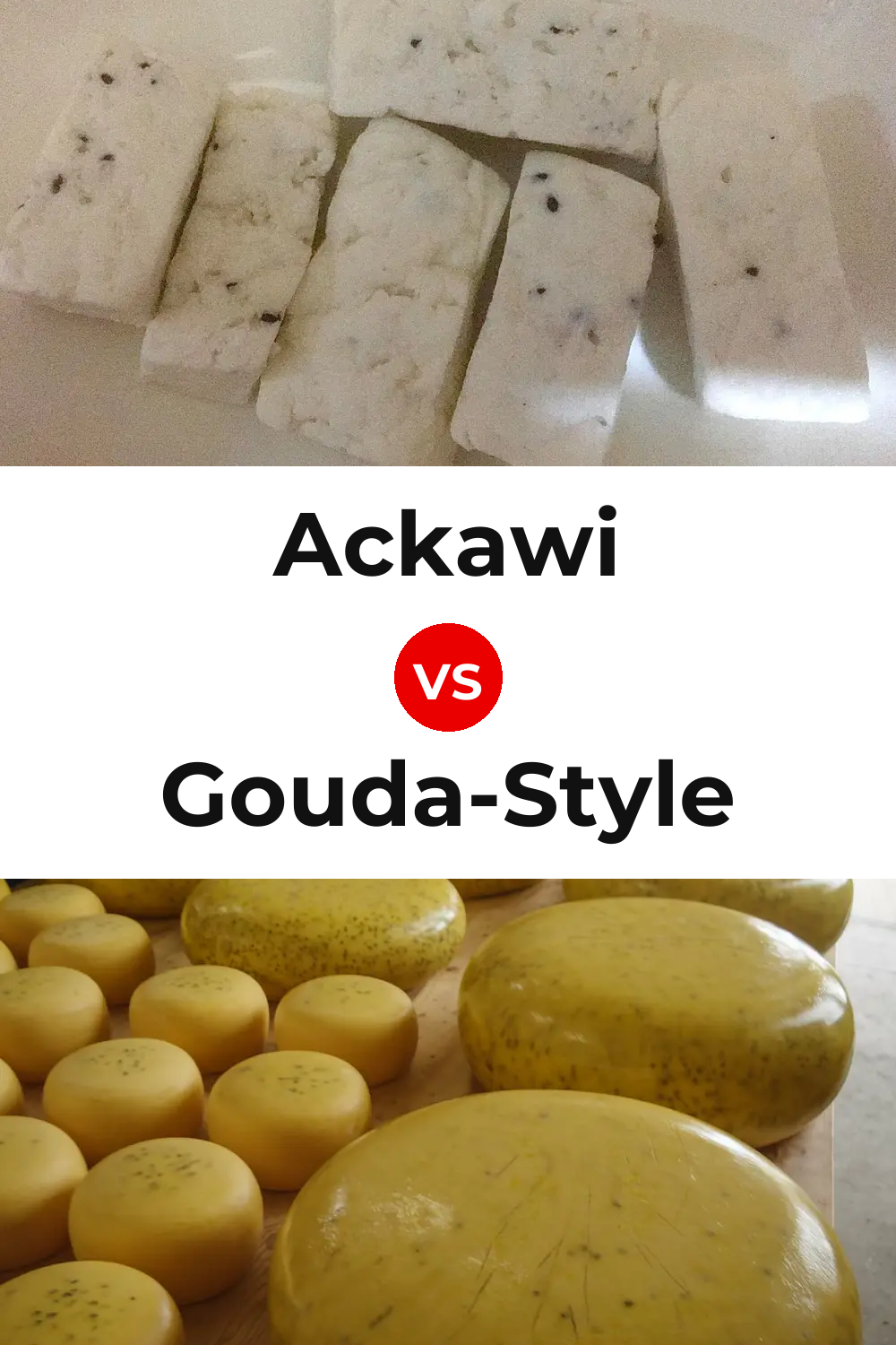 Ackawi Cheese vs Gouda-Style Cheese Pinterest comparison