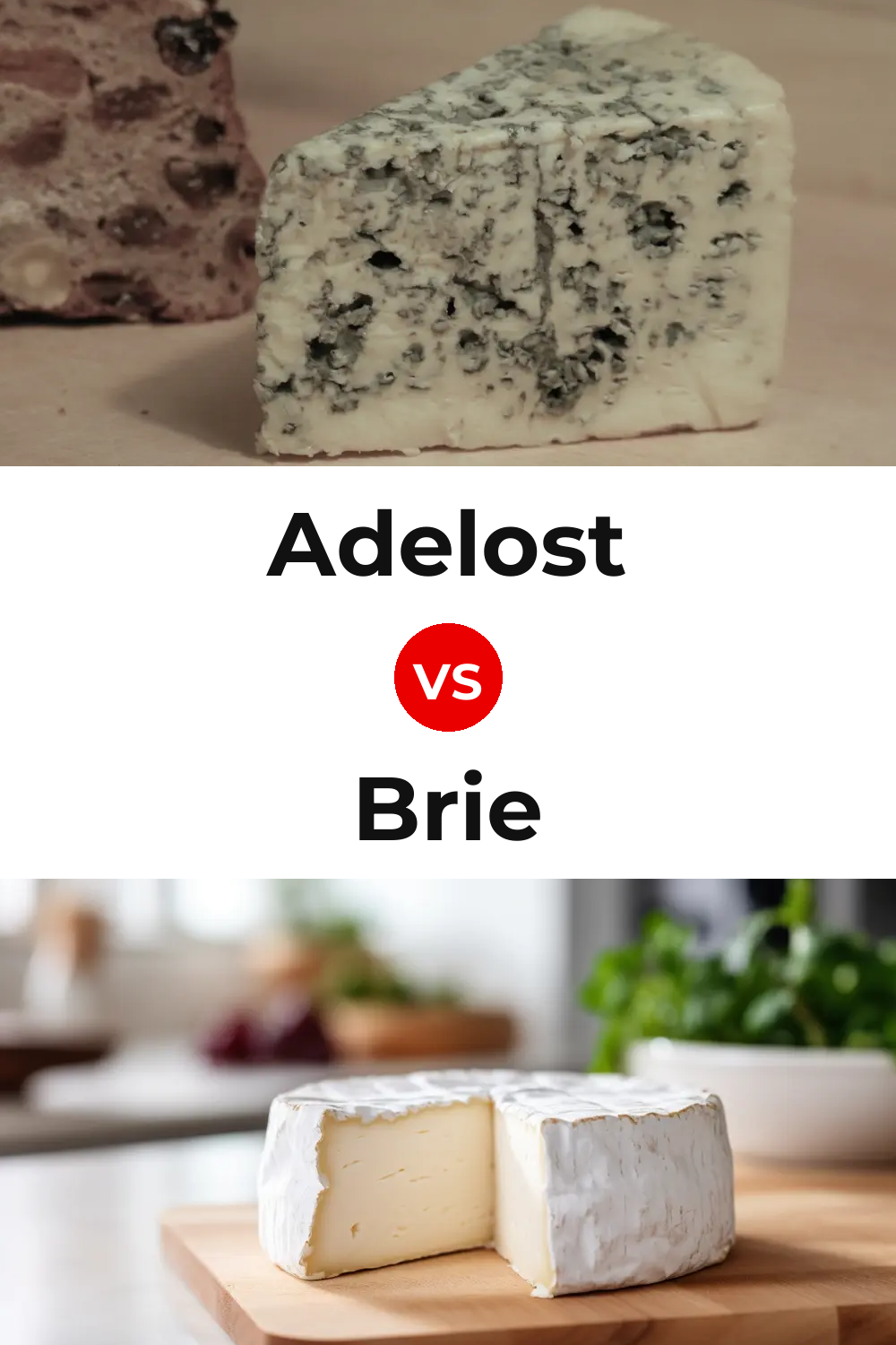 Adelost Cheese vs Brie Cheese Pinterest comparison