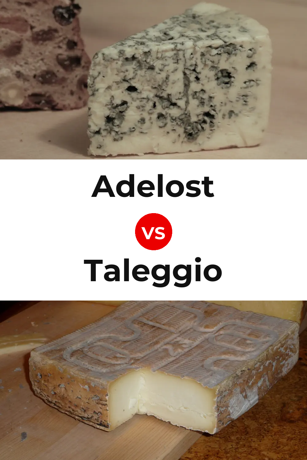 Adelost Cheese vs Taleggio Cheese Pinterest comparison
