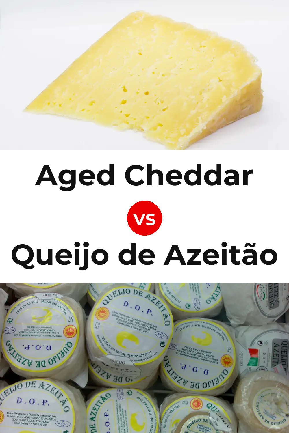 Aged Cheddar Cheese vs Queijo de Azeitão Pinterest comparison