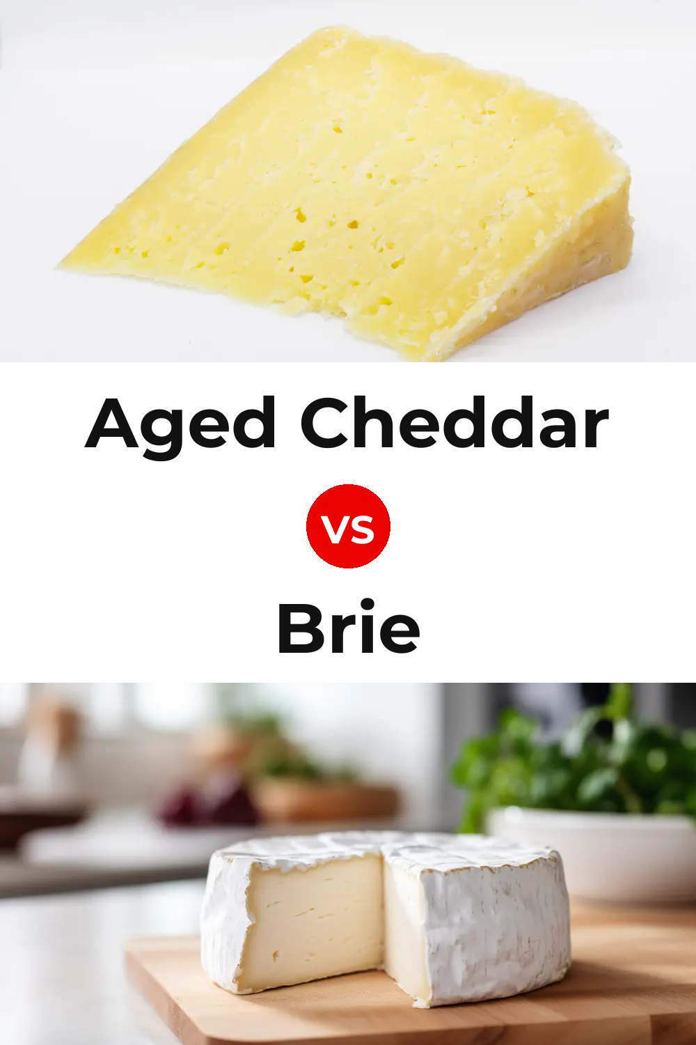 Aged Cheddar Cheese vs Brie Cheese Pinterest comparison