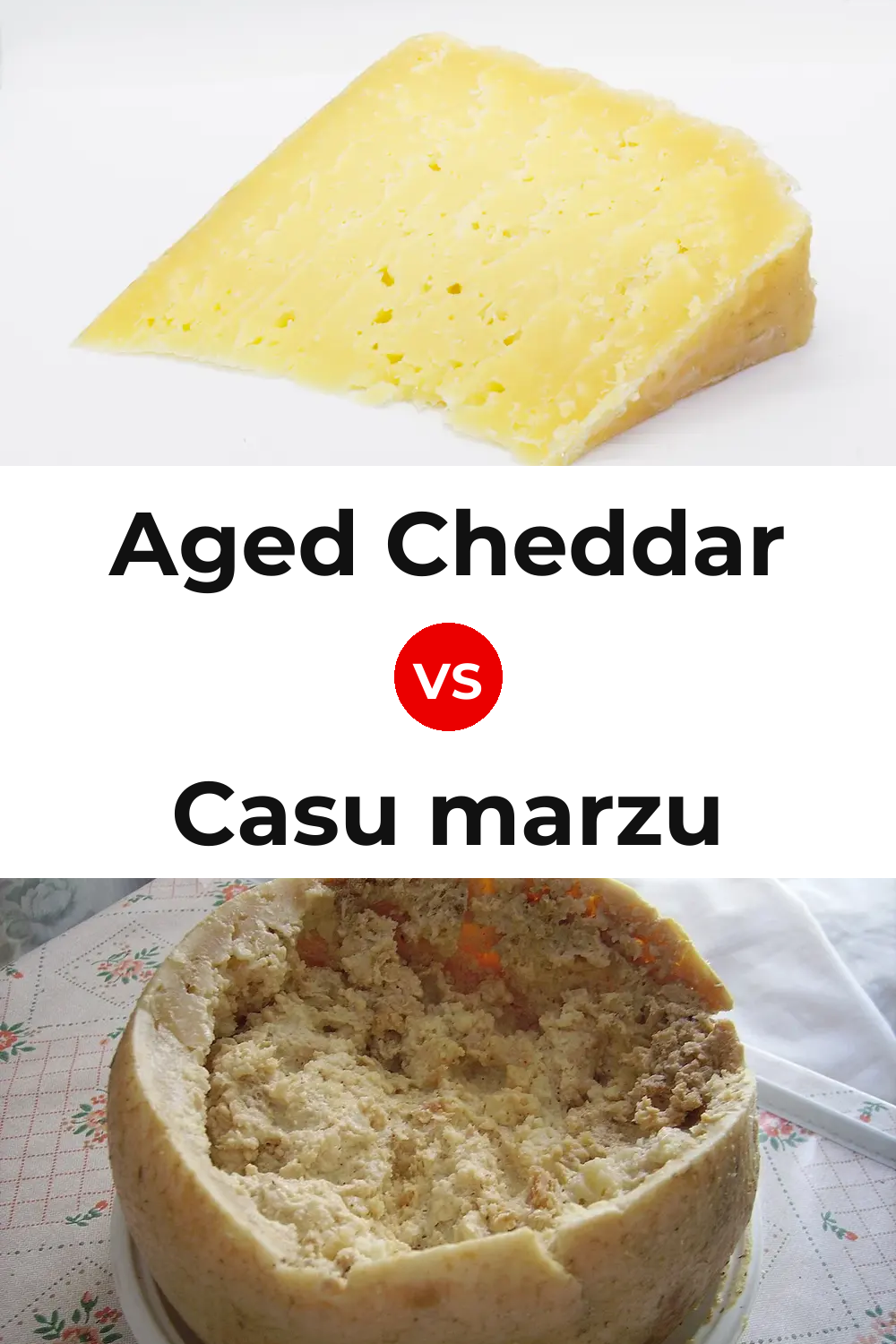 Aged Cheddar Cheese vs Casu marzu Cheese Pinterest comparison
