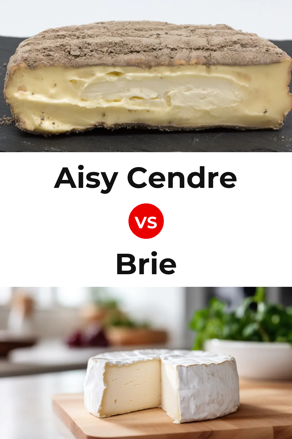 Aisy Cendre Cheese vs Brie Cheese Pinterest comparison