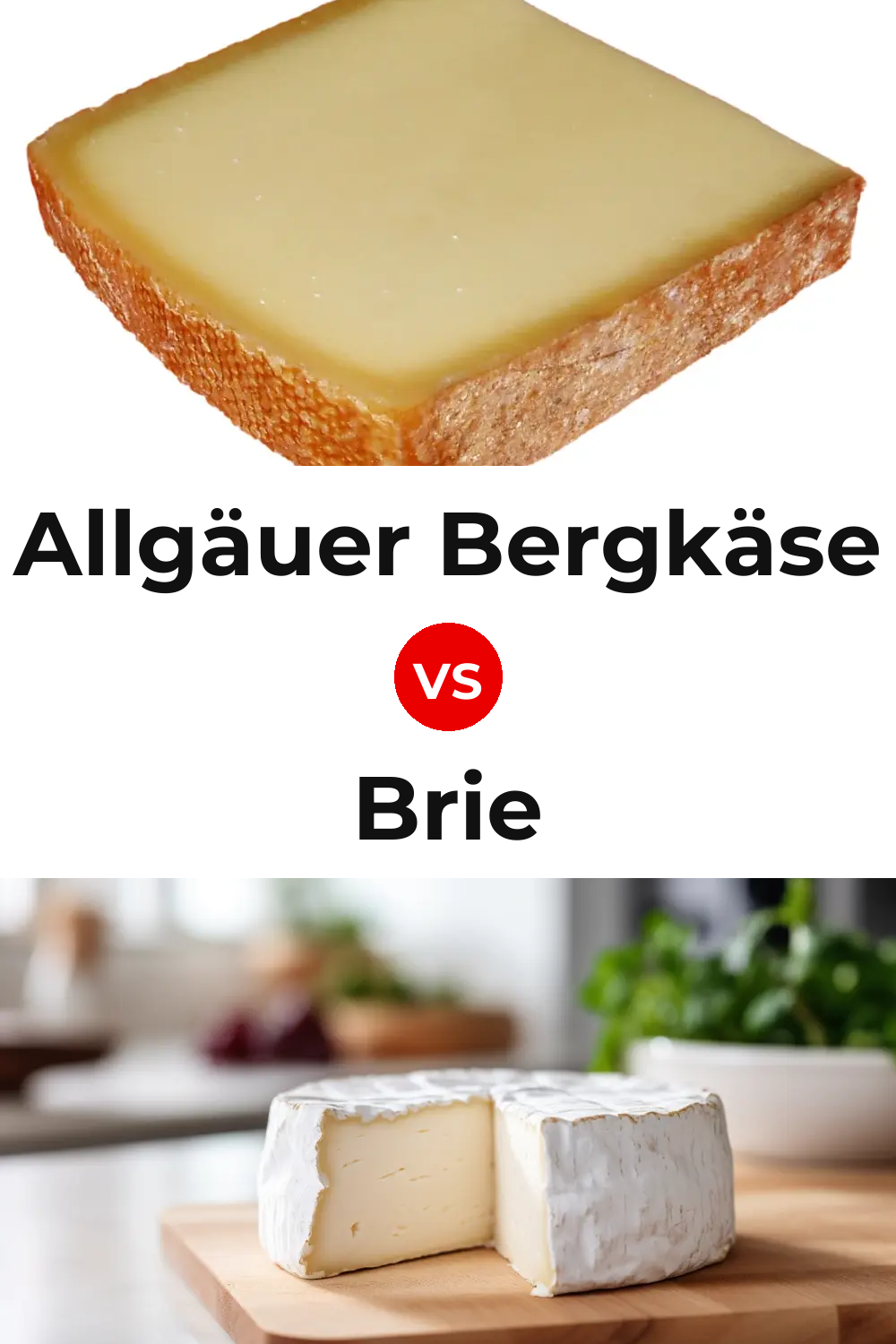 Allgäuer Bergkäse Cheese vs Brie Cheese Pinterest comparison
