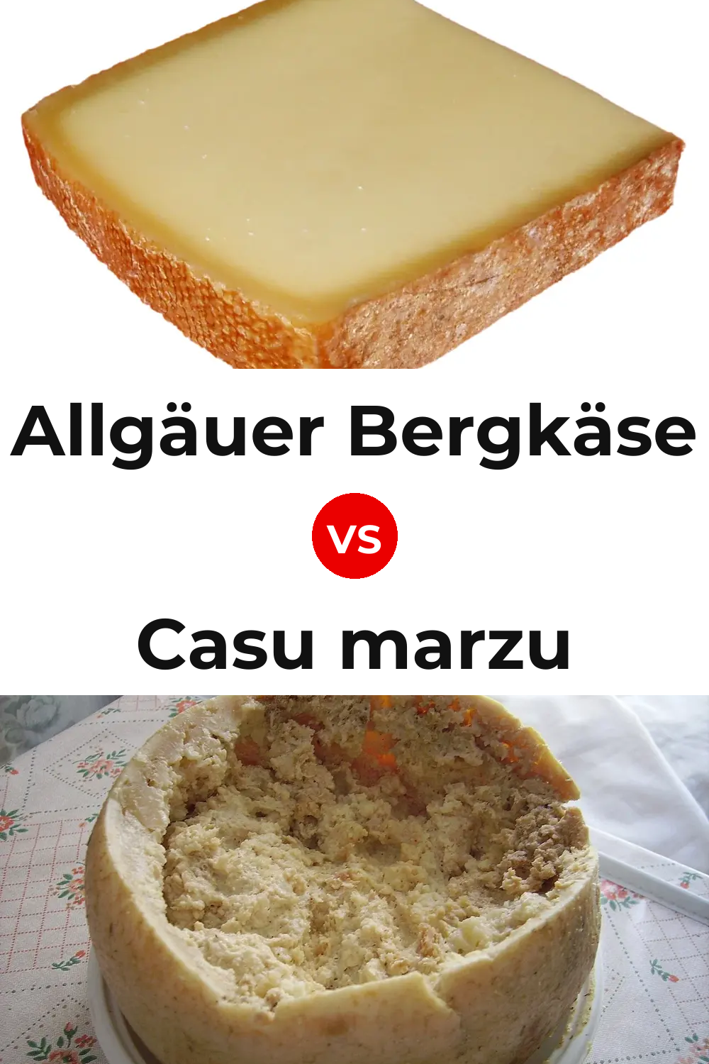 Allgäuer Bergkäse Cheese vs Casu marzu Cheese Pinterest comparison