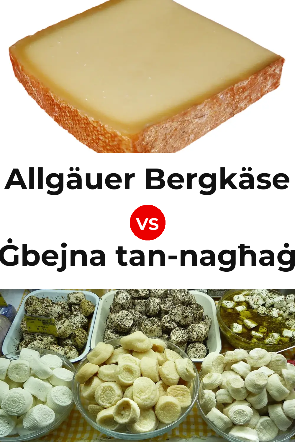 Allgäuer Bergkäse Cheese vs Ġbejna tan-nagħaġ Cheese Pinterest comparison