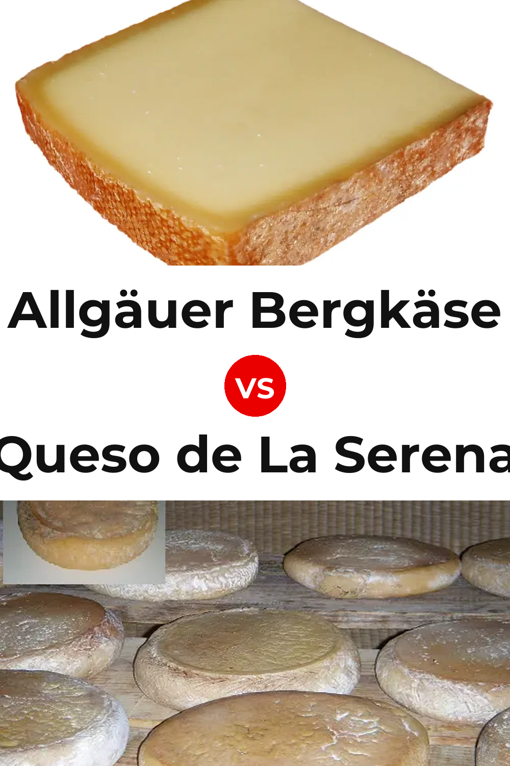 Allgäuer Bergkäse Cheese vs Queso de La Serena Pinterest comparison