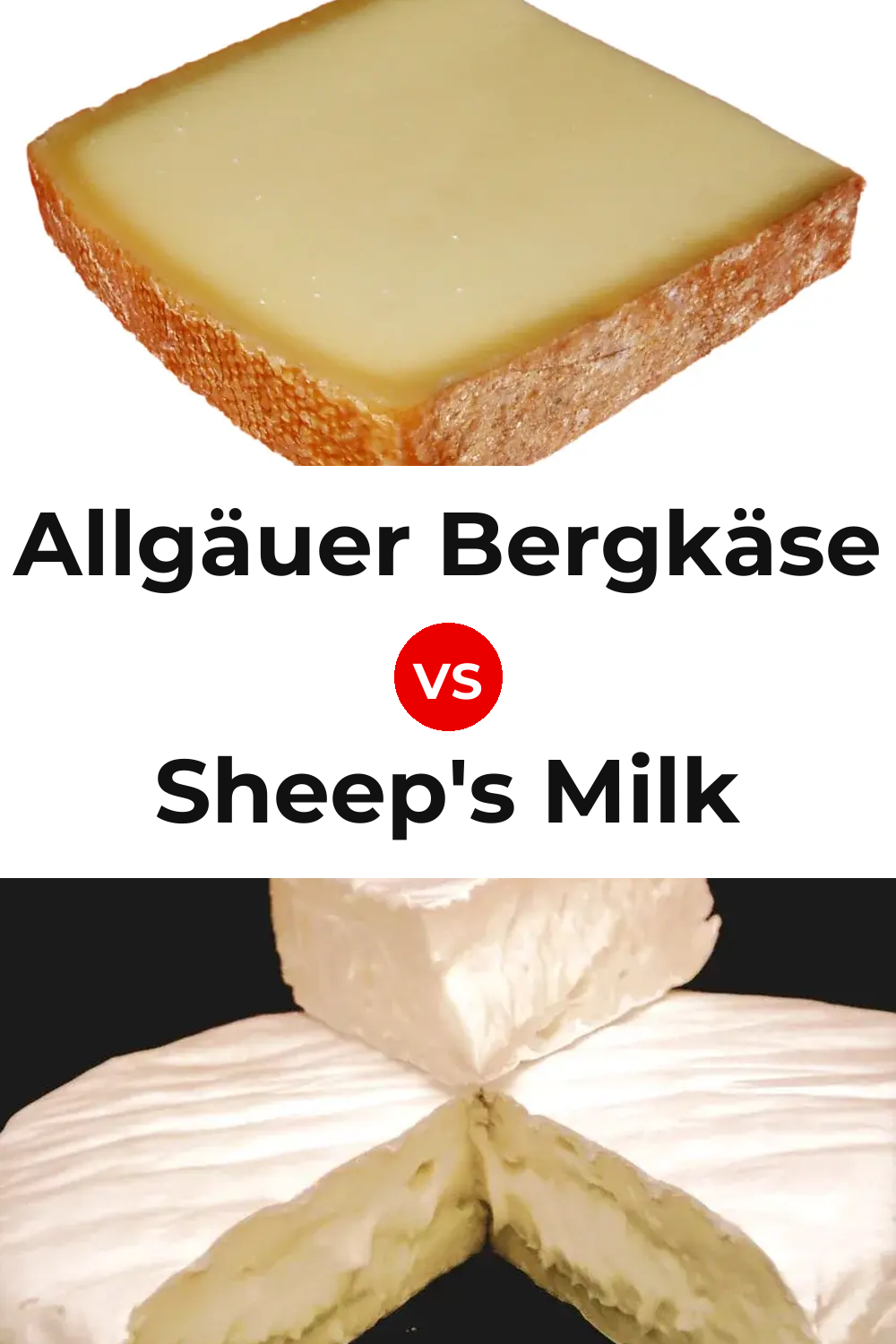 Allgäuer Bergkäse Cheese vs Sheep's Milk Cheese Pinterest comparison