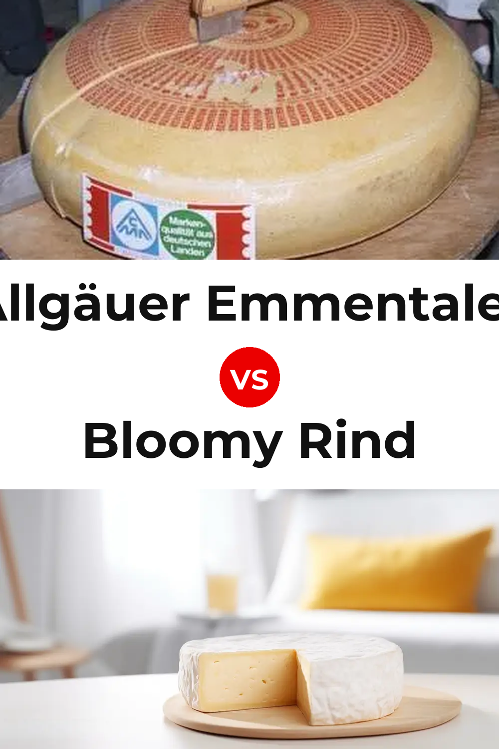 Allgäuer Emmentaler Cheese vs Bloomy Rind Cheese Pinterest comparison