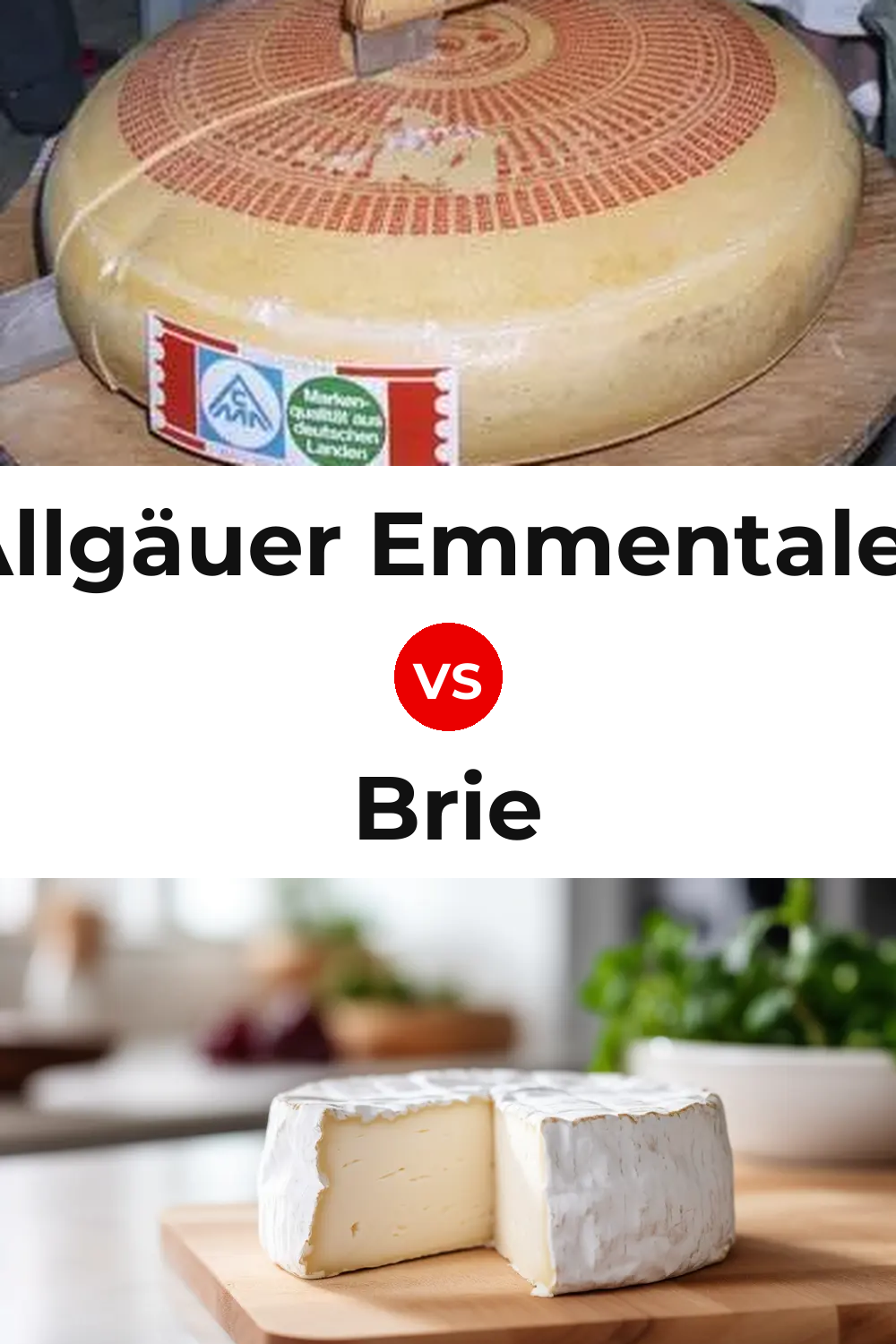 Allgäuer Emmentaler Cheese vs Brie Cheese Pinterest comparison