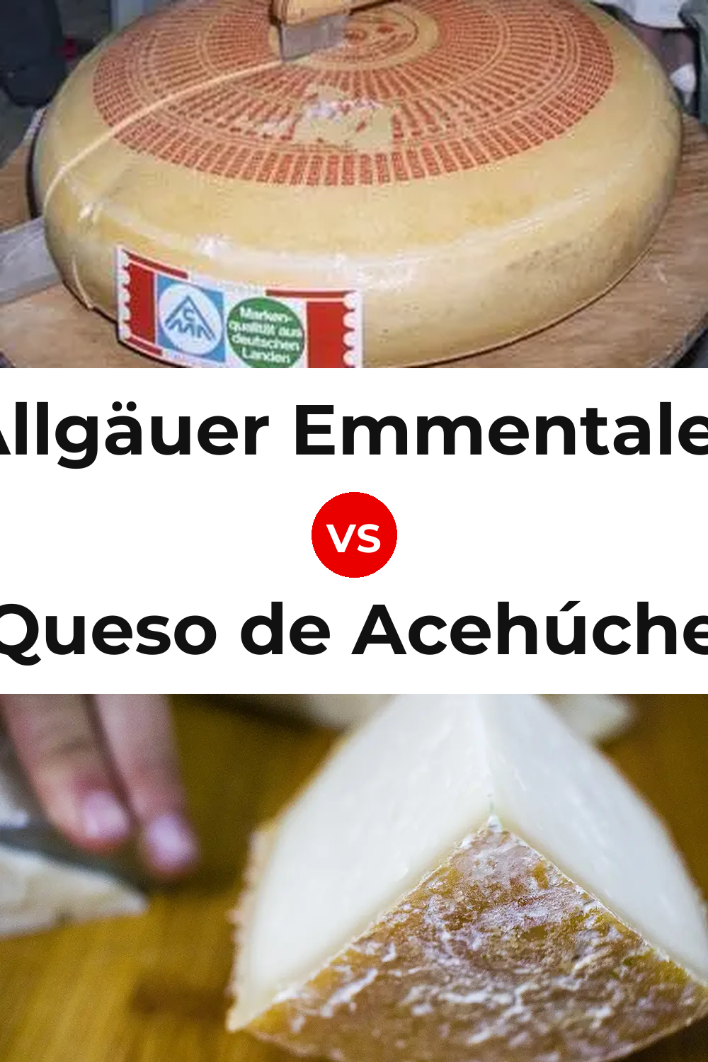 Allgäuer Emmentaler Cheese vs Queso de Acehúche Pinterest comparison