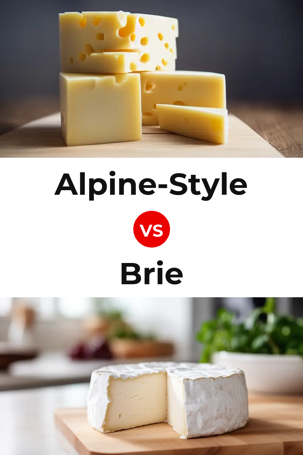 Alpine-Style Cheese vs Brie Cheese Pinterest comparison