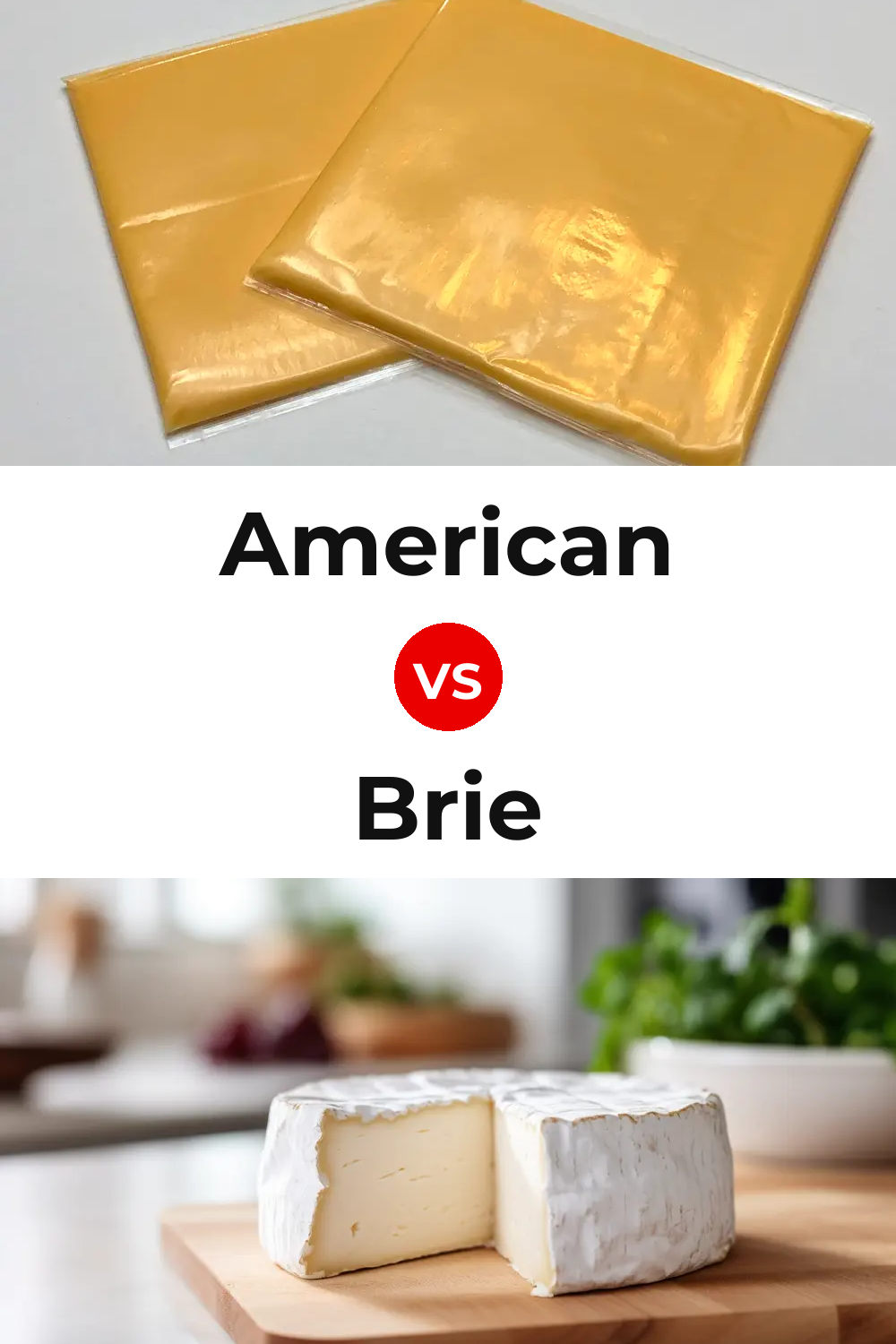 American Cheese vs Brie Cheese Pinterest comparison