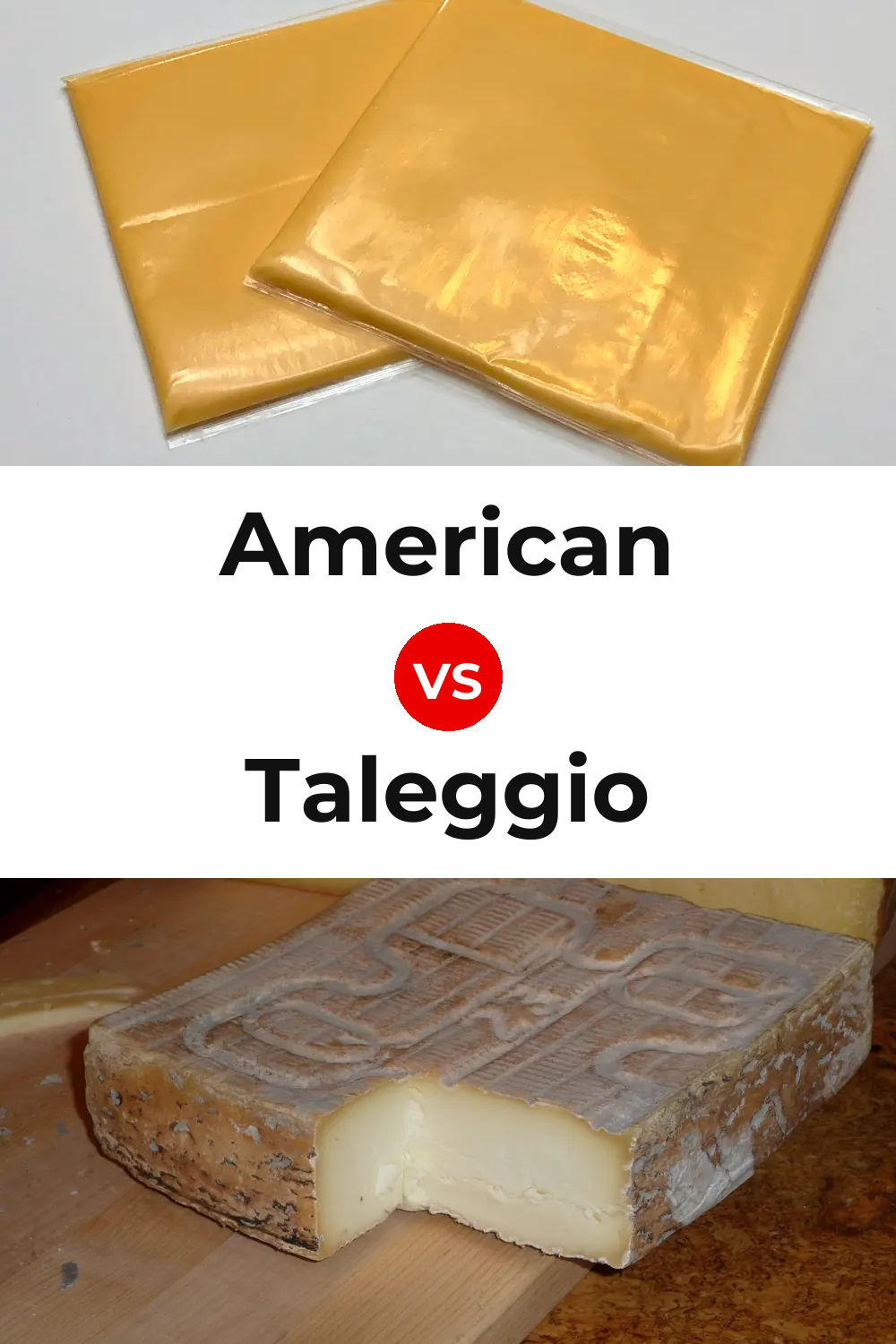 American Cheese vs Taleggio Cheese Pinterest comparison