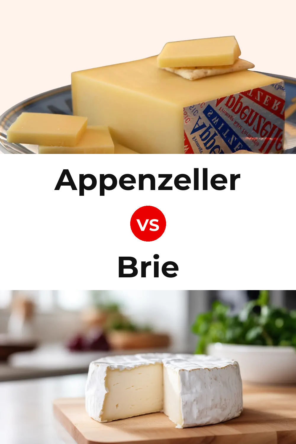 Appenzeller Cheese vs Brie Cheese Pinterest comparison