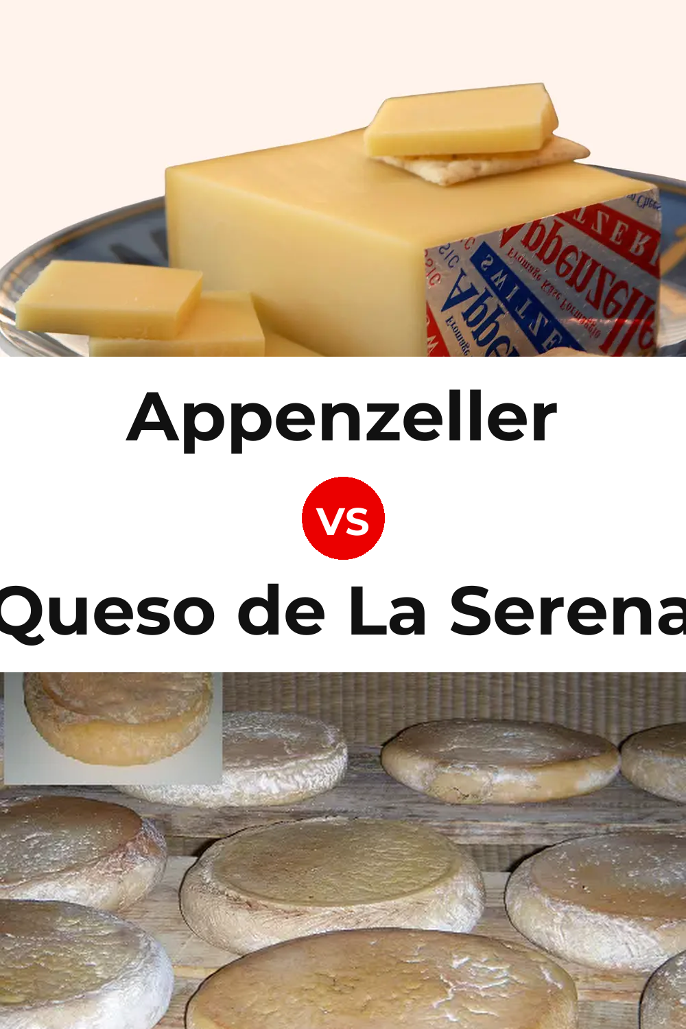 Appenzeller Cheese vs Queso de La Serena Pinterest comparison