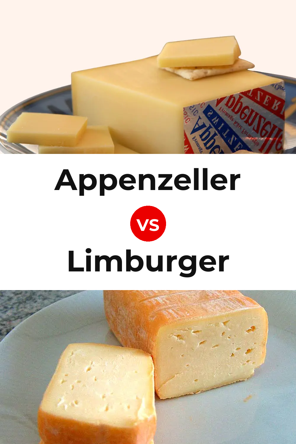 Appenzeller Cheese vs Limburger Cheese Pinterest comparison