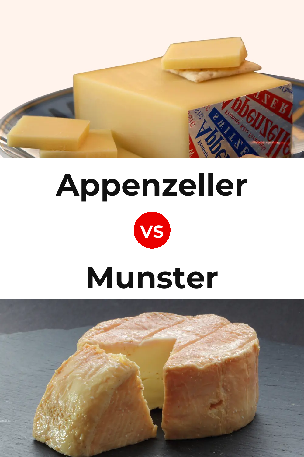Appenzeller Cheese vs Munster Cheese Pinterest comparison