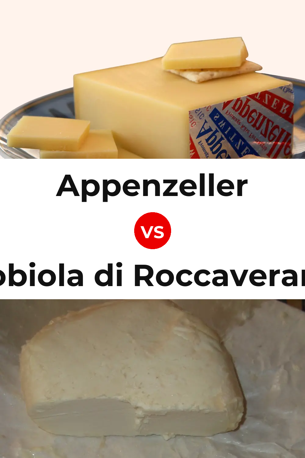 Appenzeller Cheese vs Robiola di Roccaverano Cheese Pinterest comparison