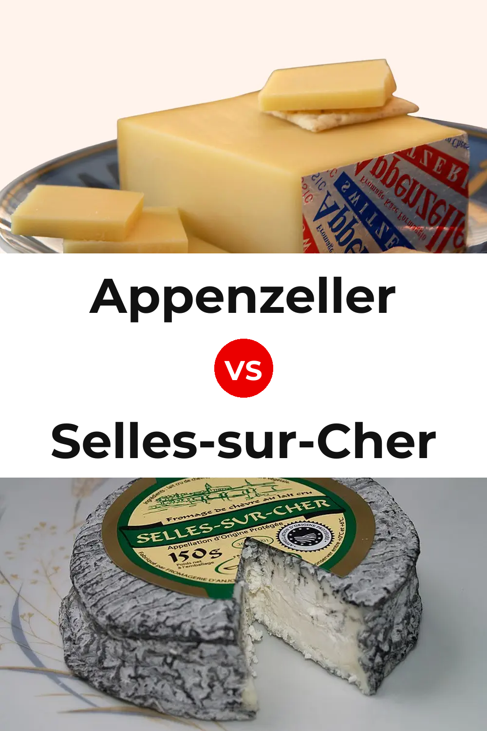 Appenzeller Cheese vs Selles-sur-Cher Cheese Pinterest comparison
