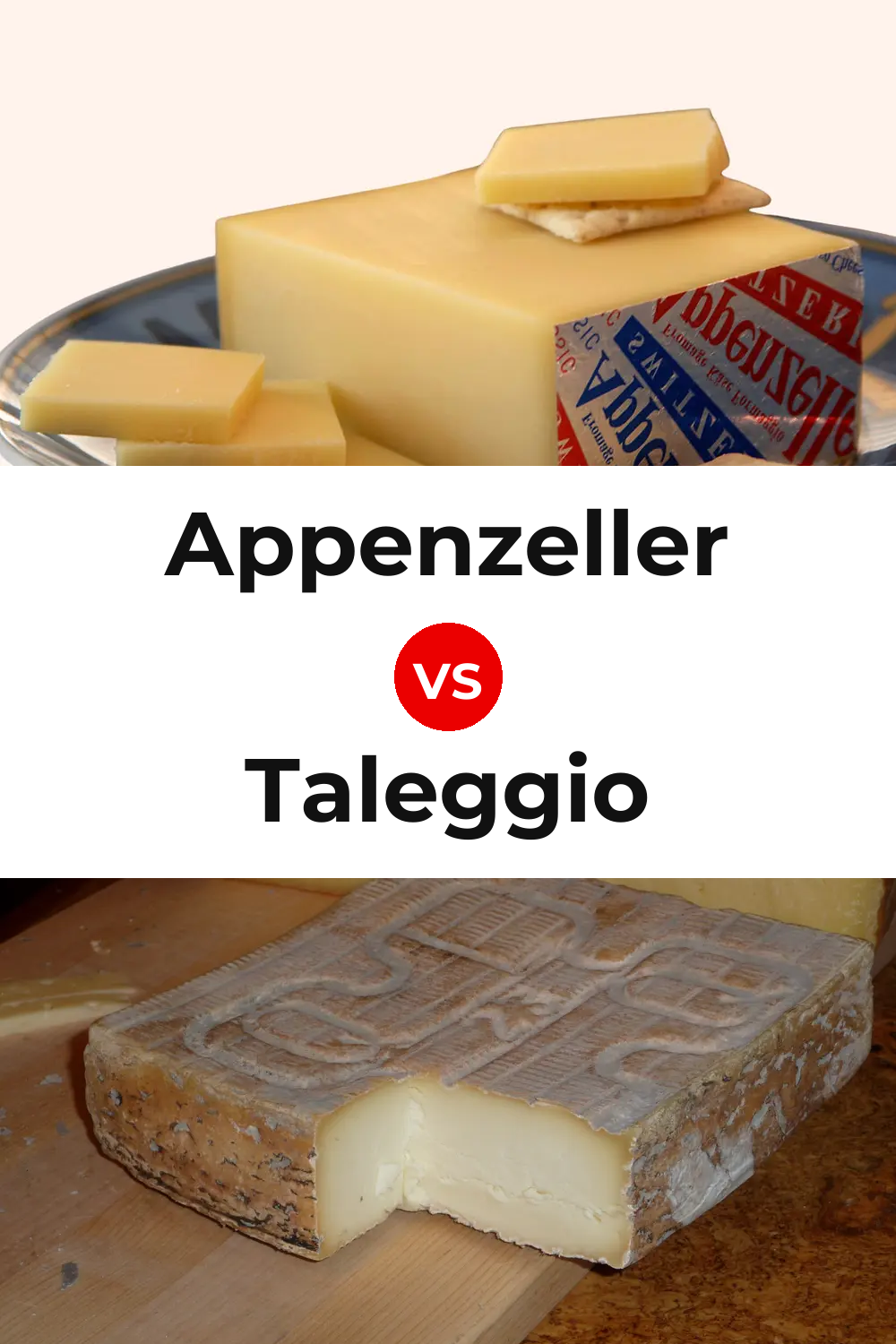 Appenzeller Cheese vs Taleggio Cheese Pinterest comparison