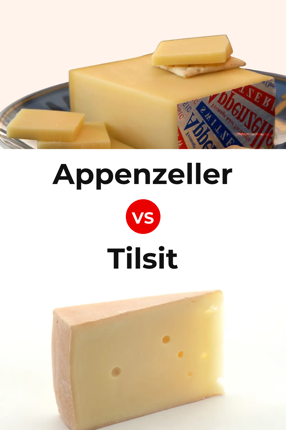 Appenzeller Cheese vs Tilsit Cheese Pinterest comparison