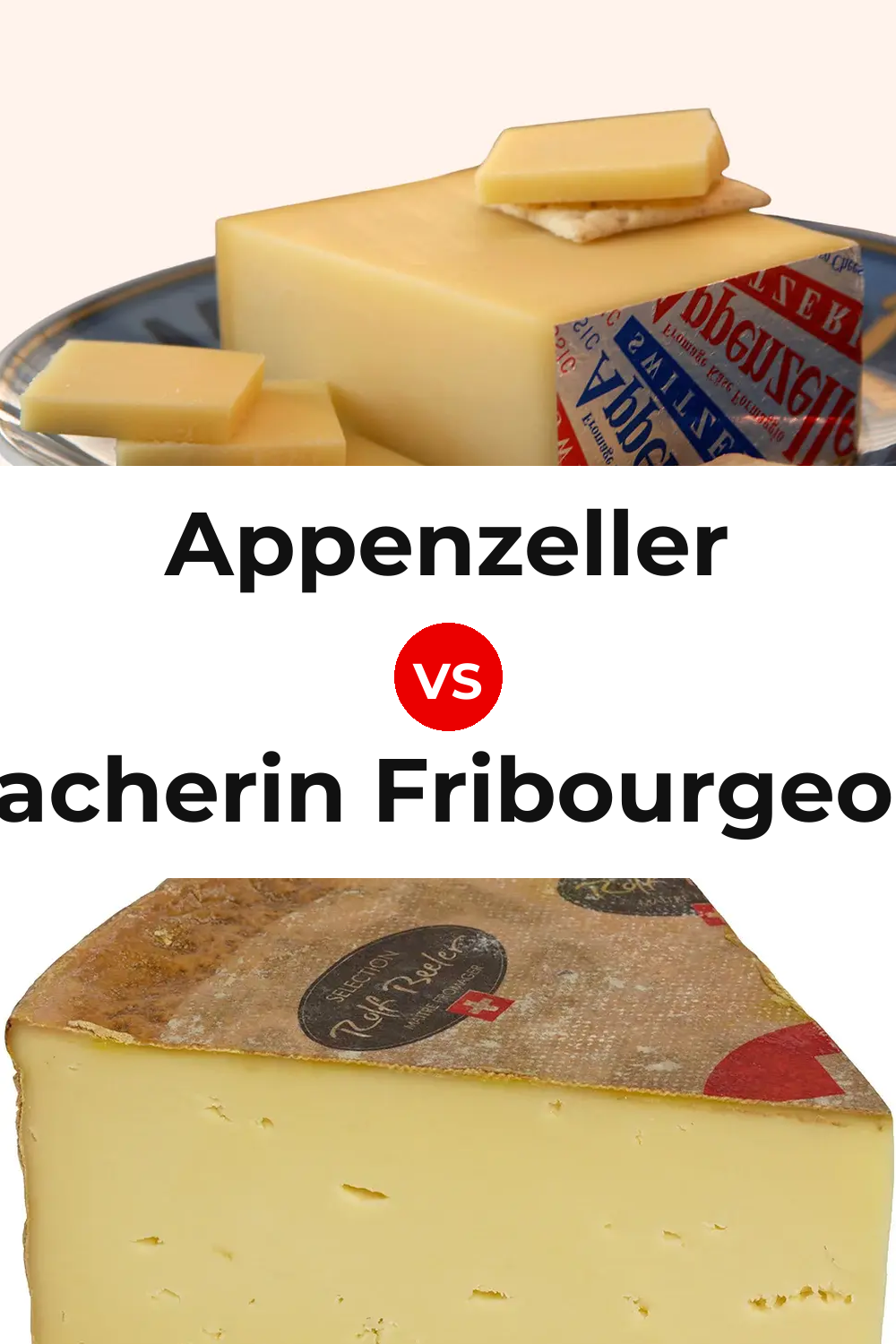Appenzeller Cheese vs Vacherin Fribourgeois Cheese Pinterest comparison