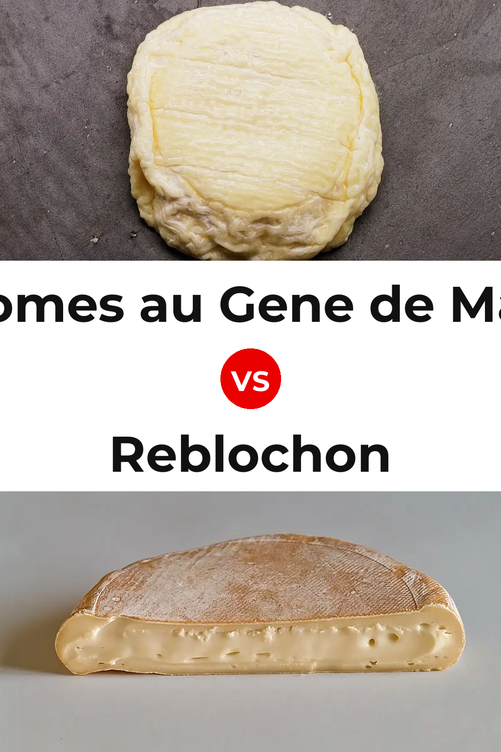 Aromes au Gene de Marc Cheese vs Reblochon Cheese Pinterest comparison