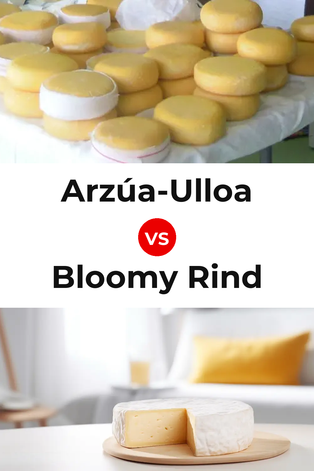 Arzúa-Ulloa Cheese vs Bloomy Rind Cheese Pinterest comparison