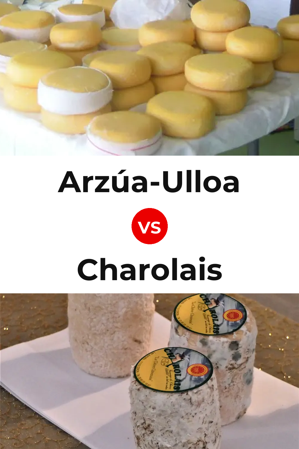 Arzúa-Ulloa Cheese vs Charolais Cheese Pinterest comparison