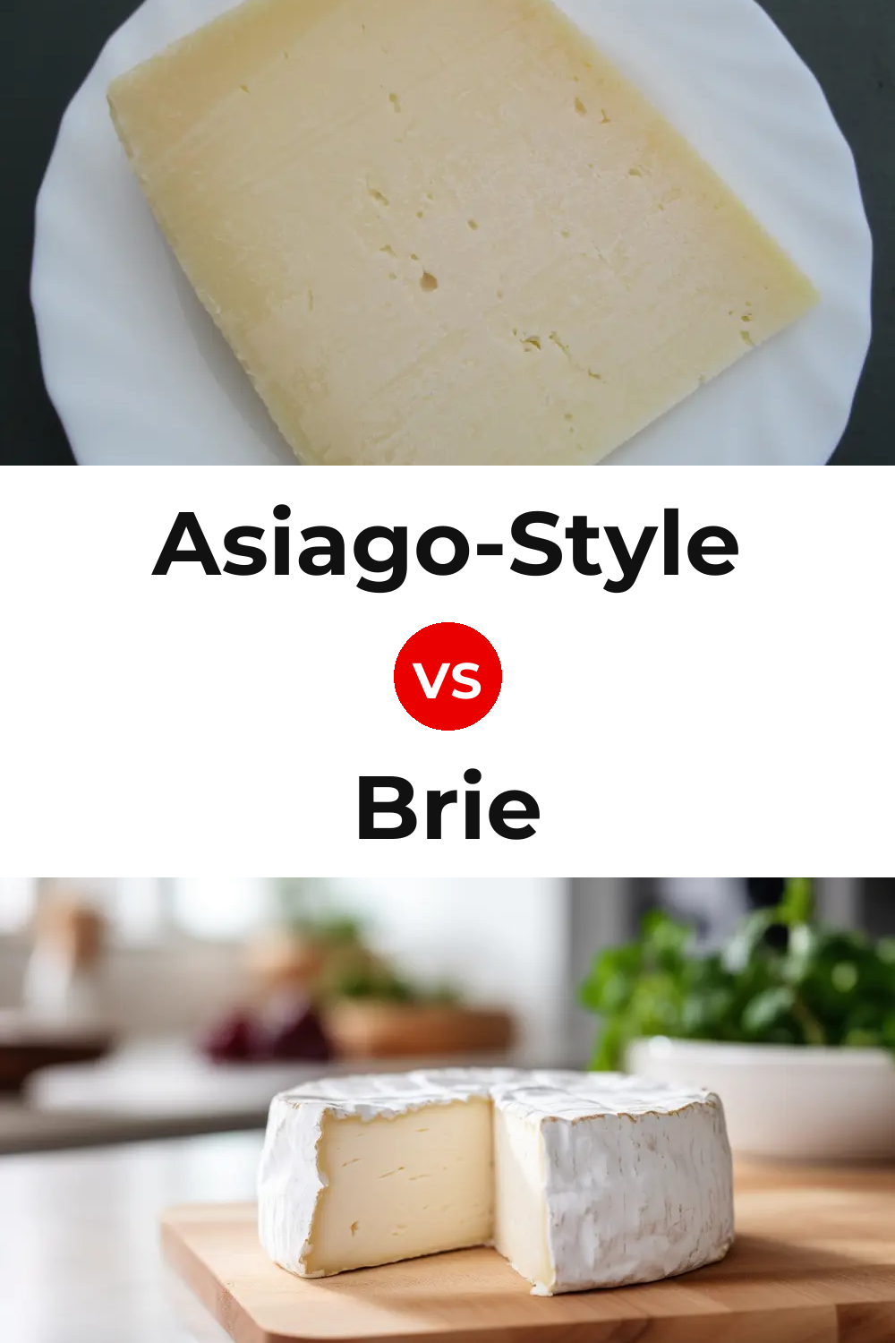 Asiago-Style Cheese vs Brie Cheese Pinterest comparison