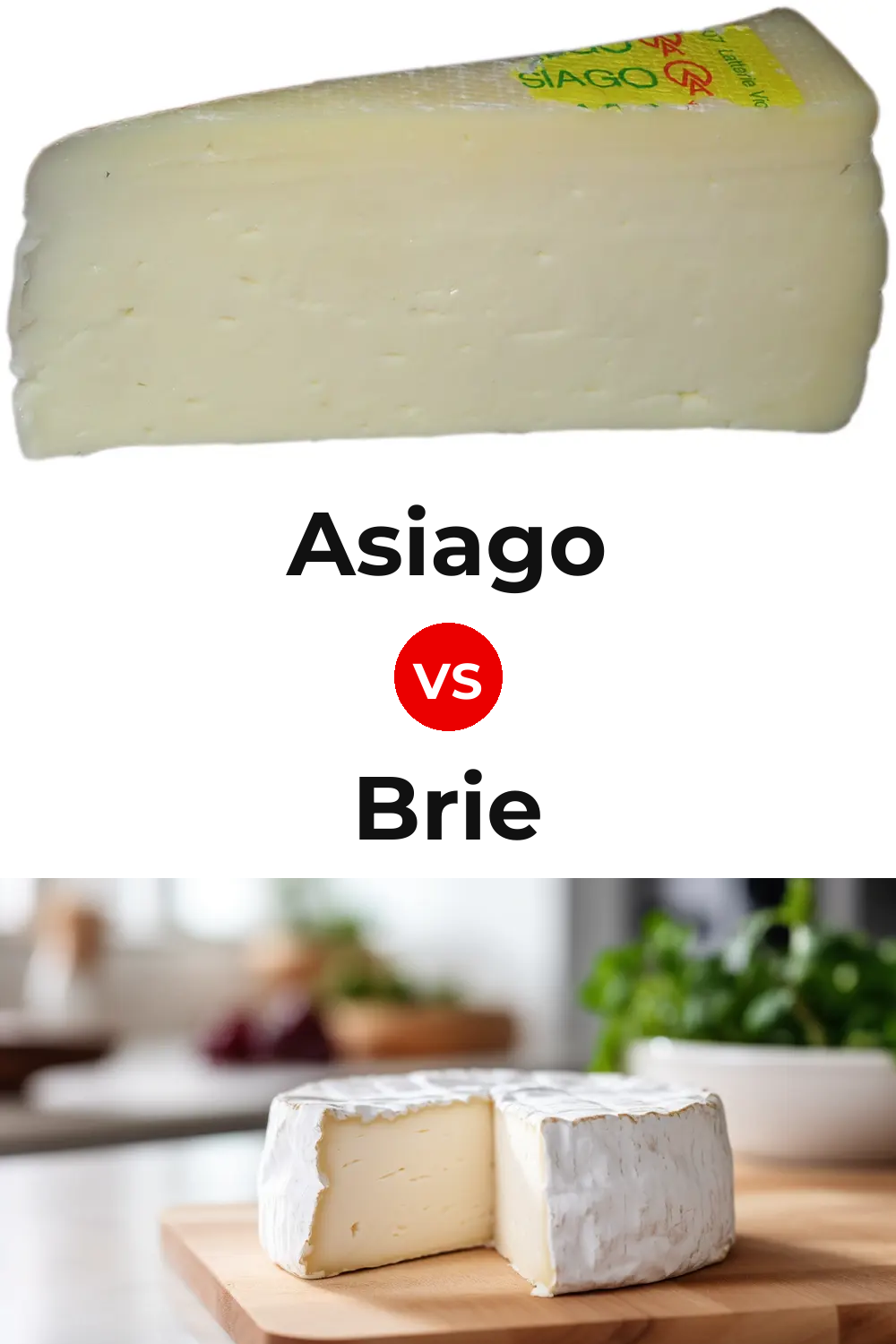 Asiago Cheese vs Brie Cheese Pinterest comparison