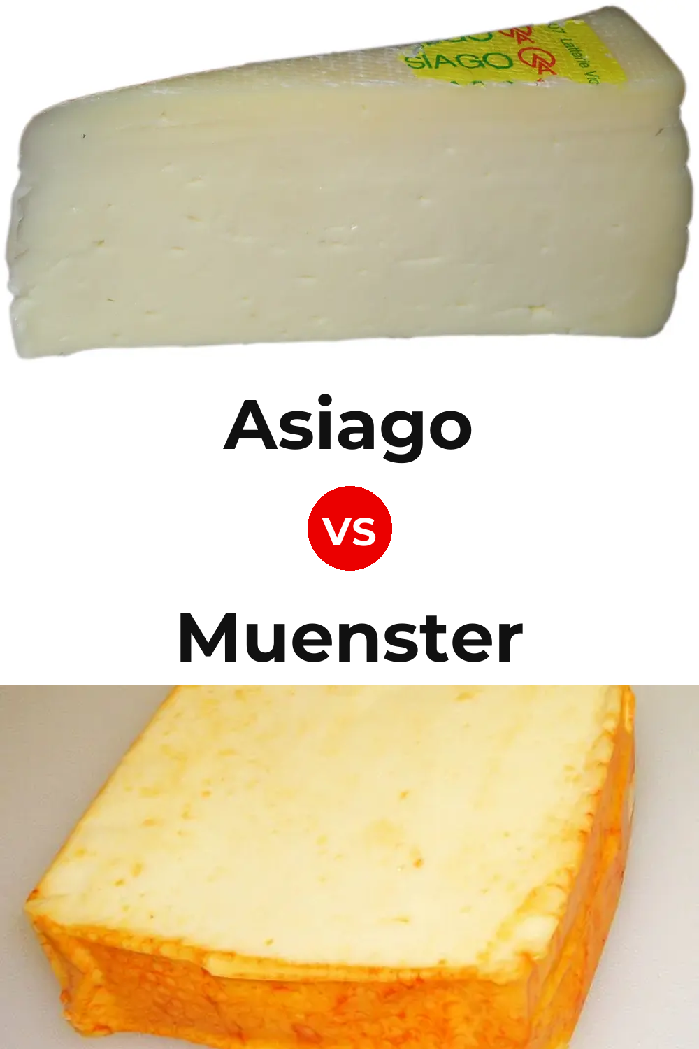 Asiago Cheese vs Muenster Cheese Pinterest comparison
