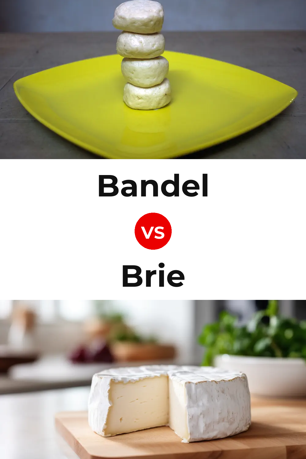 Bandel Cheese vs Brie Cheese Pinterest comparison
