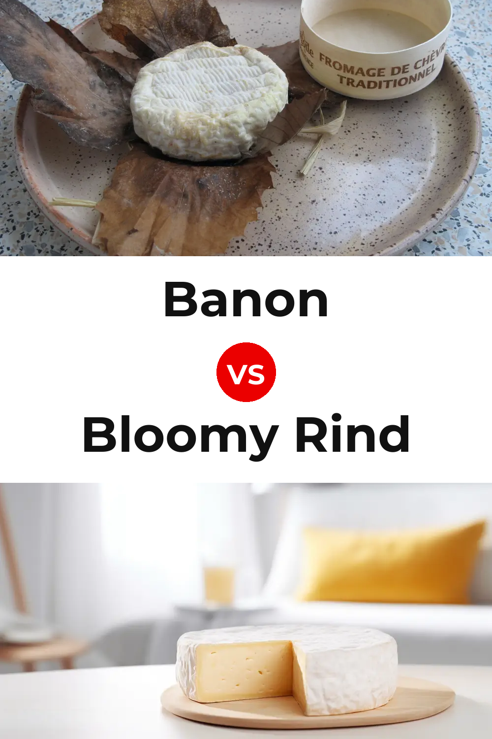 Banon Cheese vs Bloomy Rind Cheese Pinterest comparison