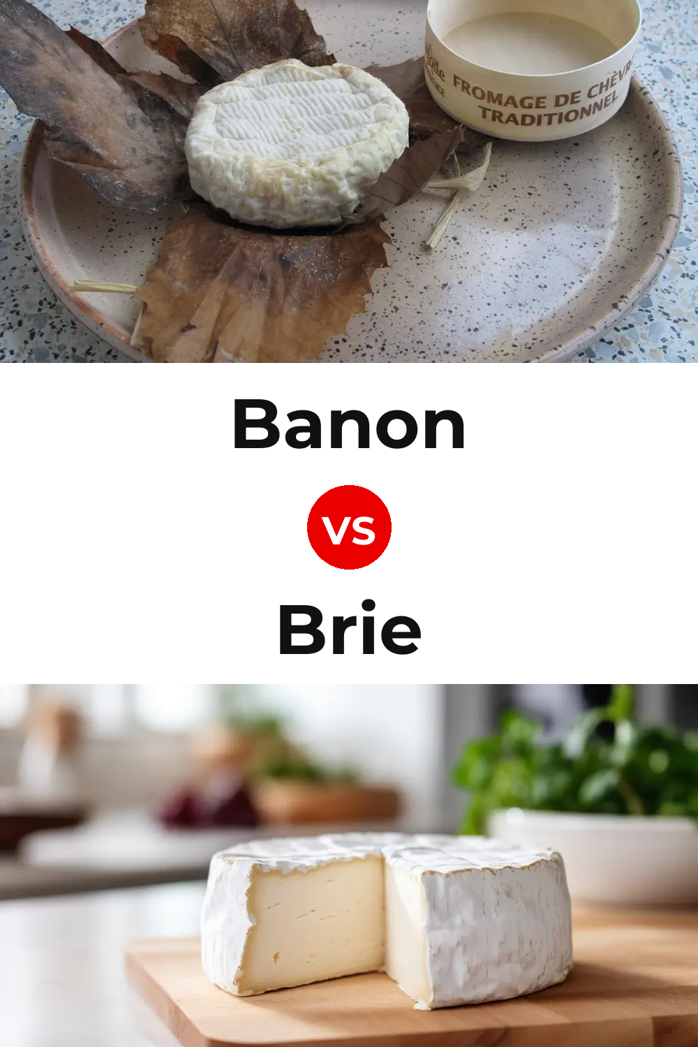 Banon Cheese vs Brie Cheese Pinterest comparison
