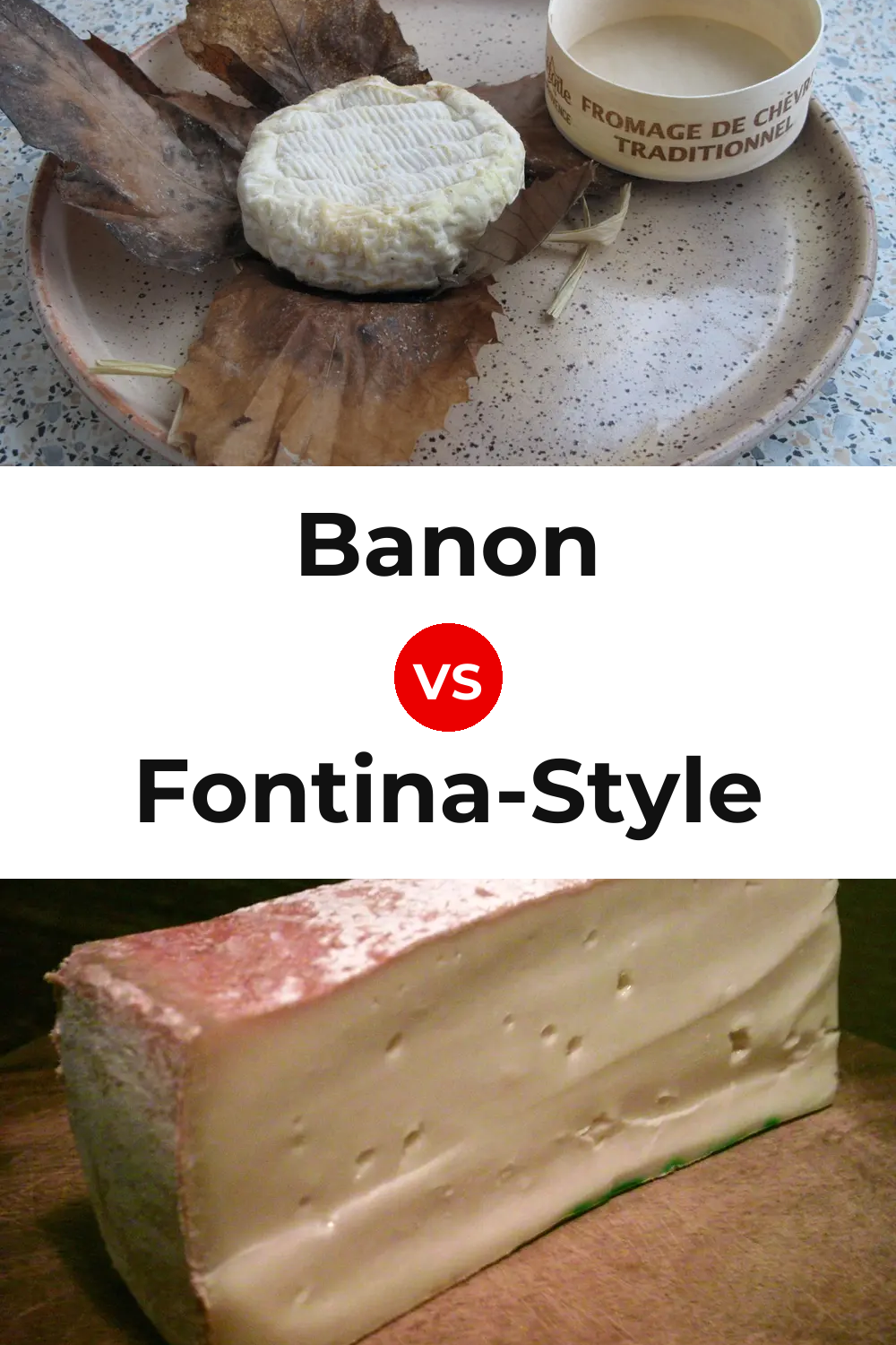 Banon Cheese vs Fontina-Style Cheese Pinterest comparison