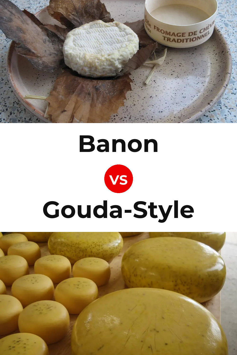 Banon Cheese vs Gouda-Style Cheese Pinterest comparison