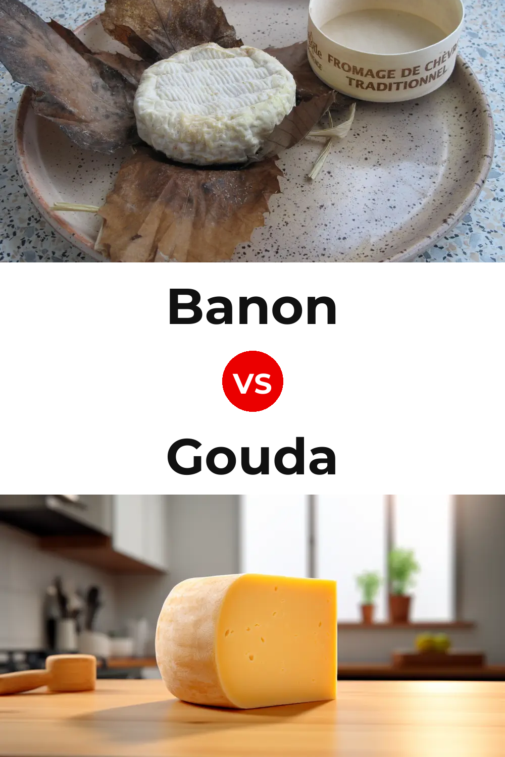 Banon Cheese vs Gouda Cheese Pinterest comparison