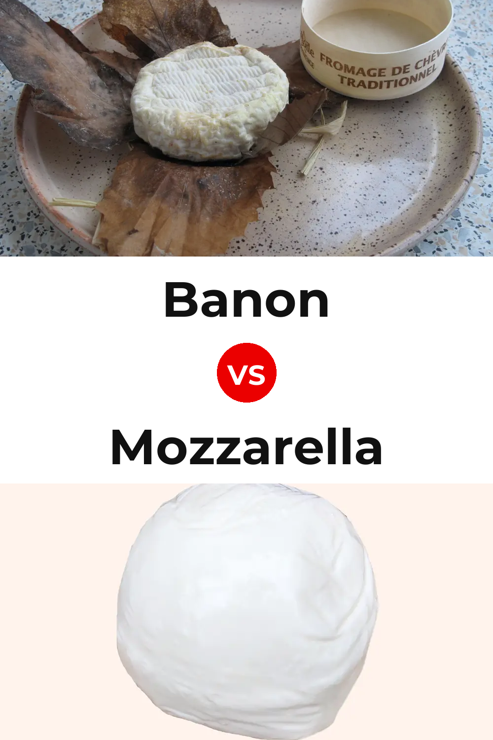 Banon Cheese vs Mozzarella Cheese Pinterest comparison