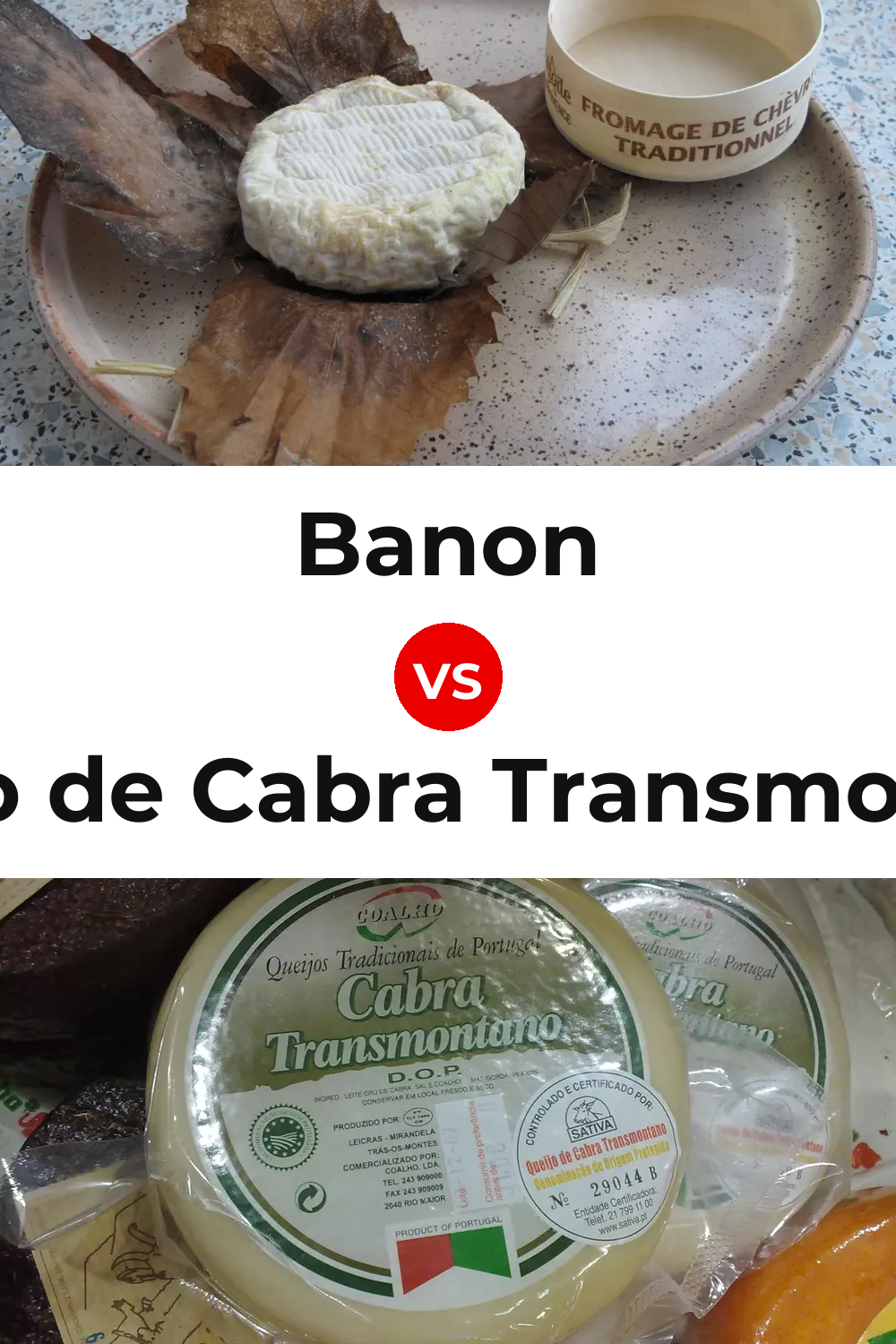 Banon Cheese vs Queijo de Cabra Transmontano Pinterest comparison