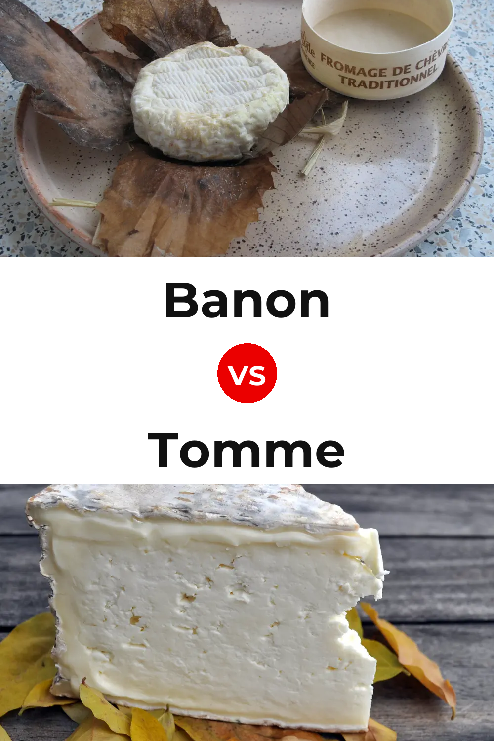 Banon Cheese vs Tomme Cheese Pinterest comparison