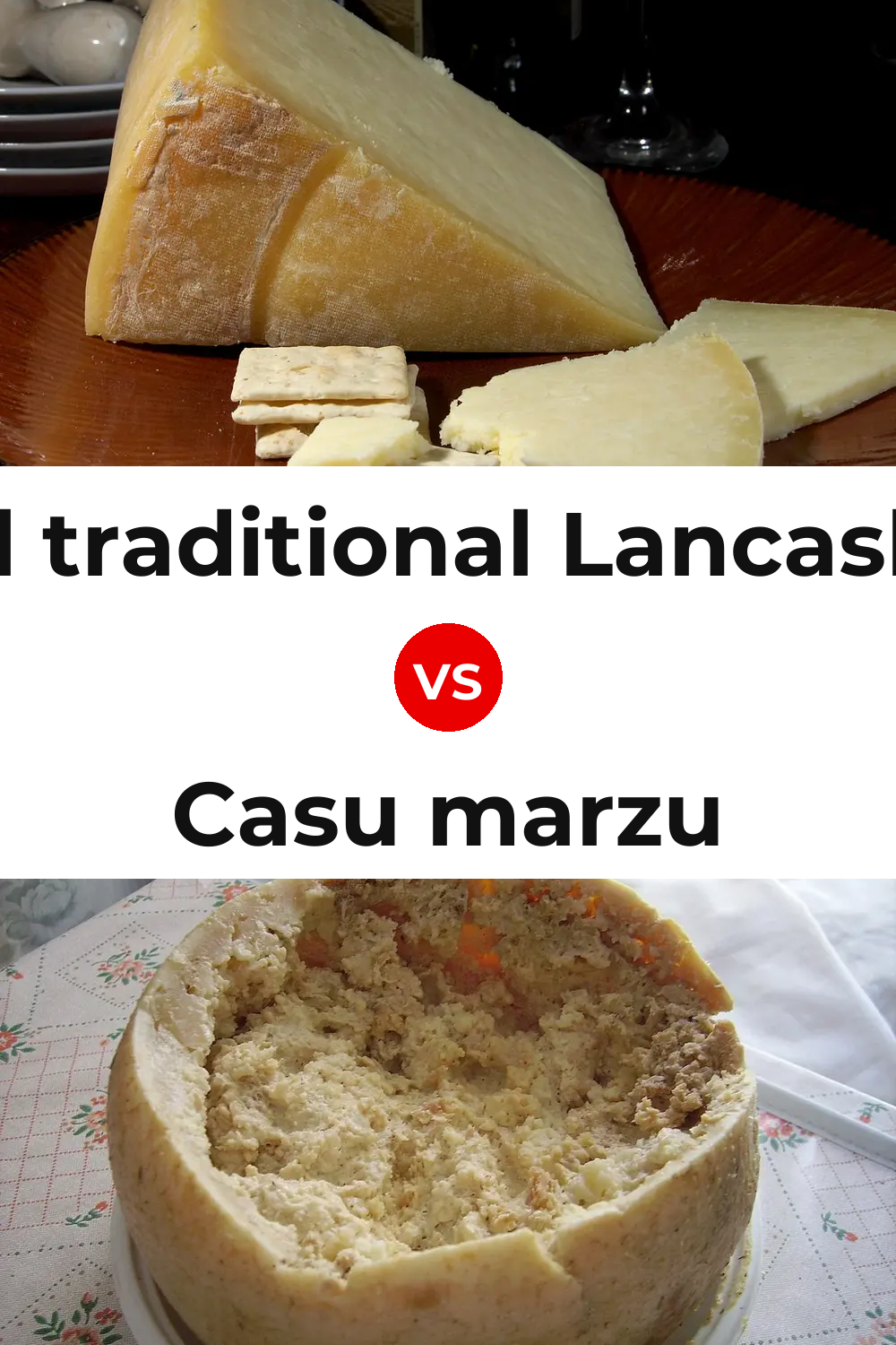 Beacon Fell traditional Lancashire cheese vs Casu marzu Cheese Pinterest comparison